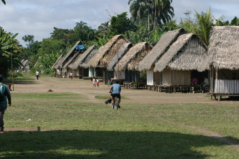 Houses of the Jungle — Typical home construction for Shipibo Ethnic Group — ADRA, Peru, Poverty, Shipibo Indians, Ucayali River