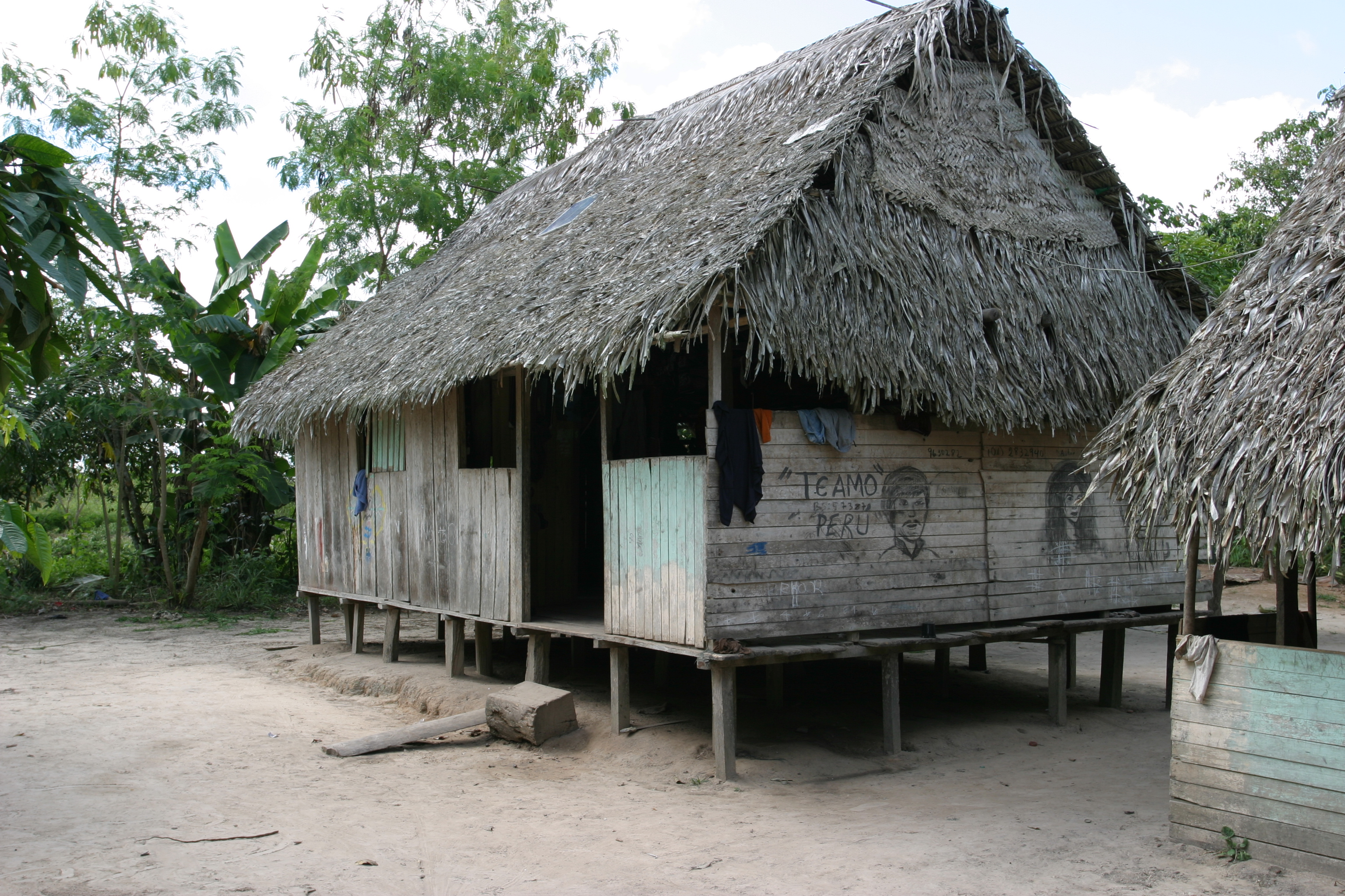 Houses of the Jungle