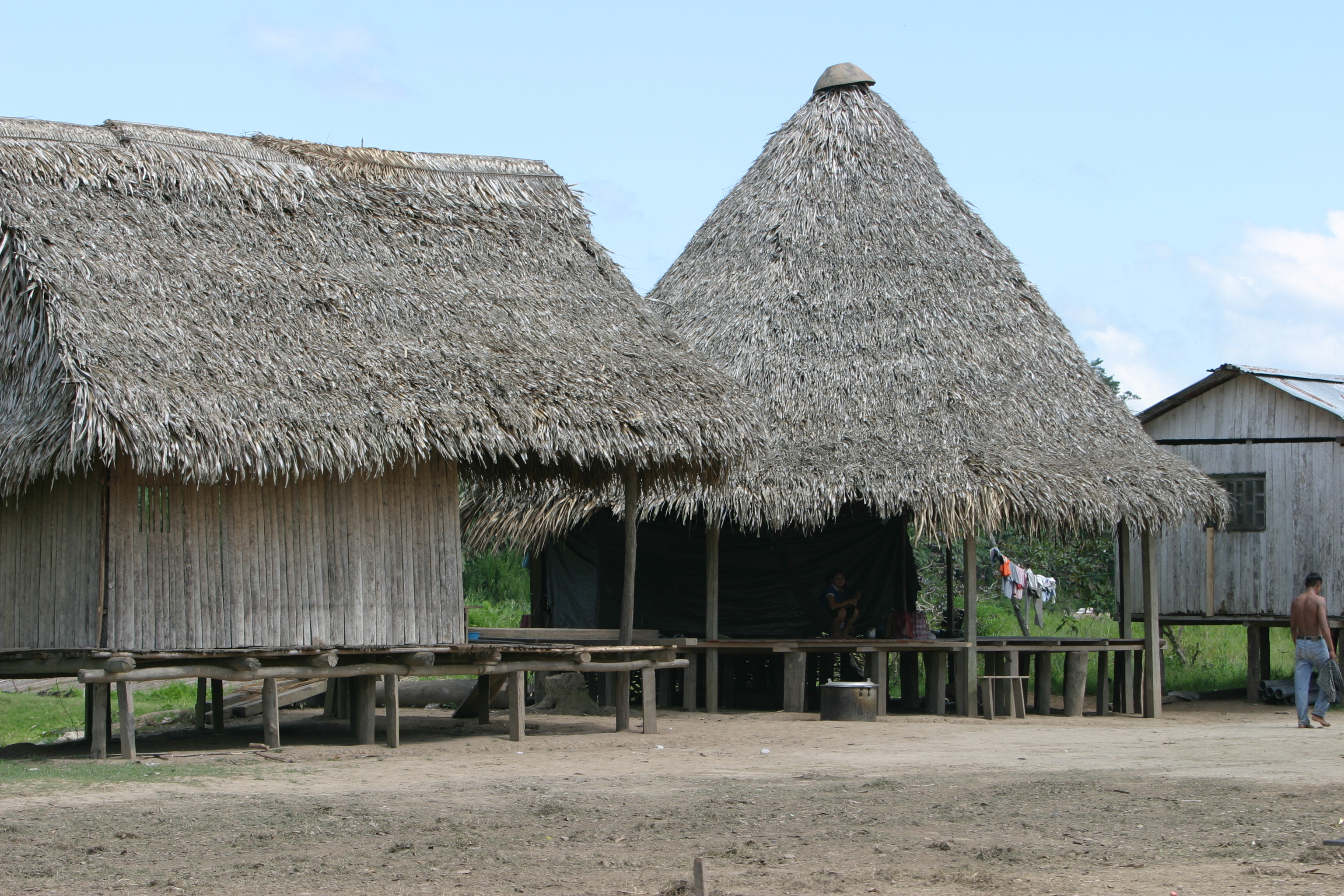 Houses of the Jungle