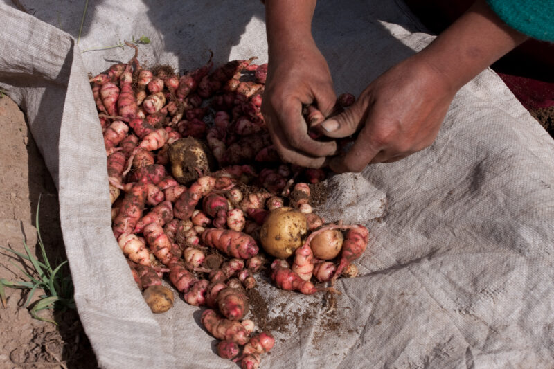 Photo: WVI_013375 — Peru