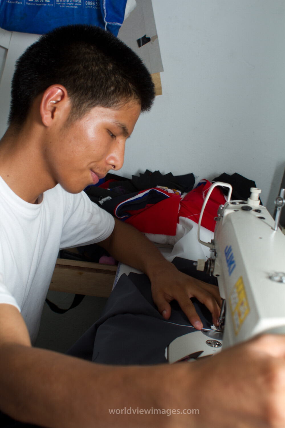 Small Business for Financial Freedom