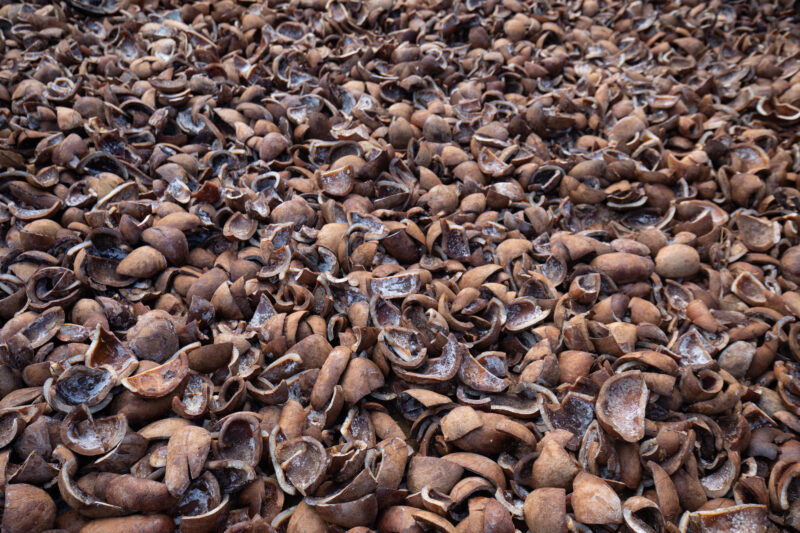 Coconut Husks — Philippines, Camarines Sur, Luzon, Coconut husks