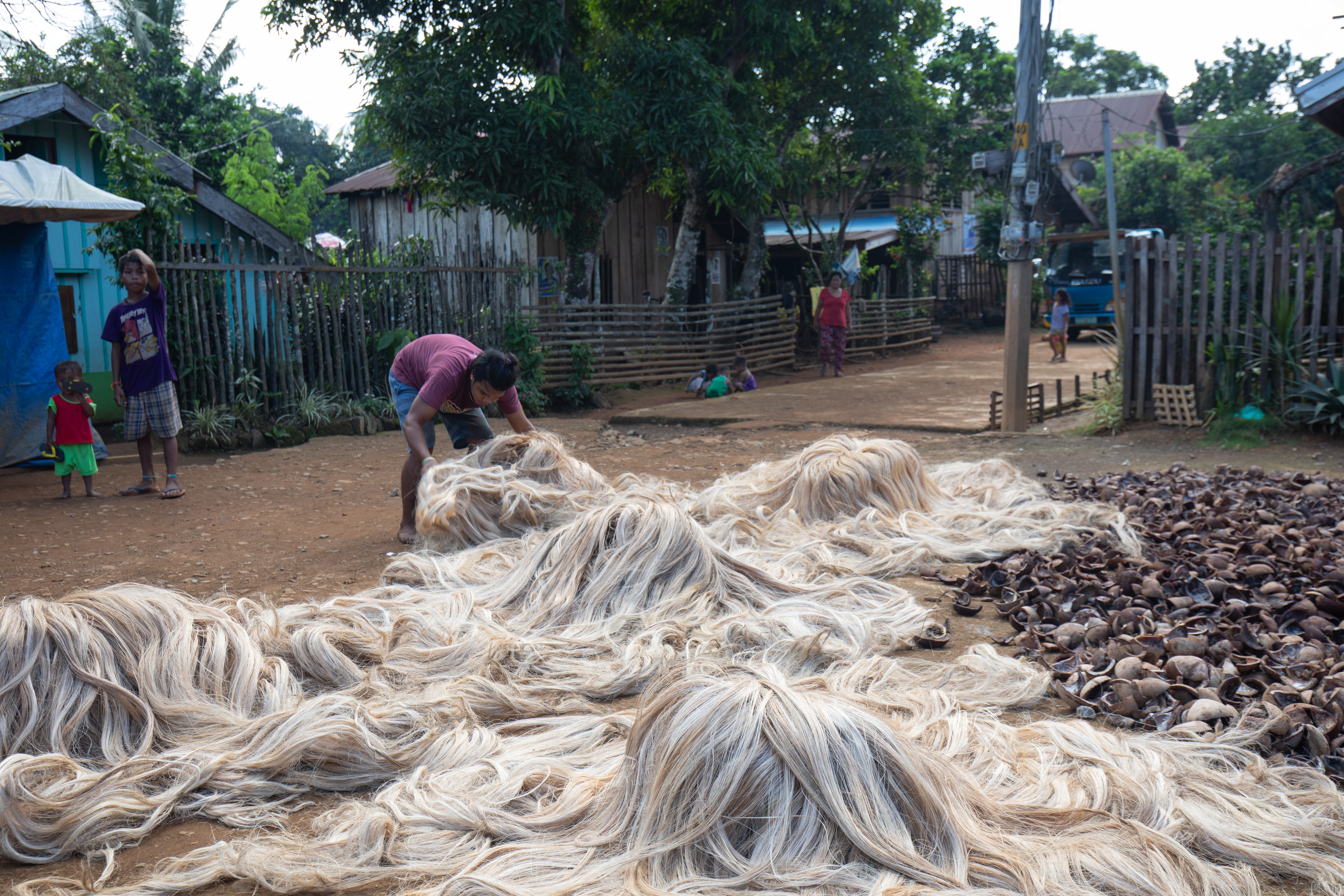 Drying Abaca
