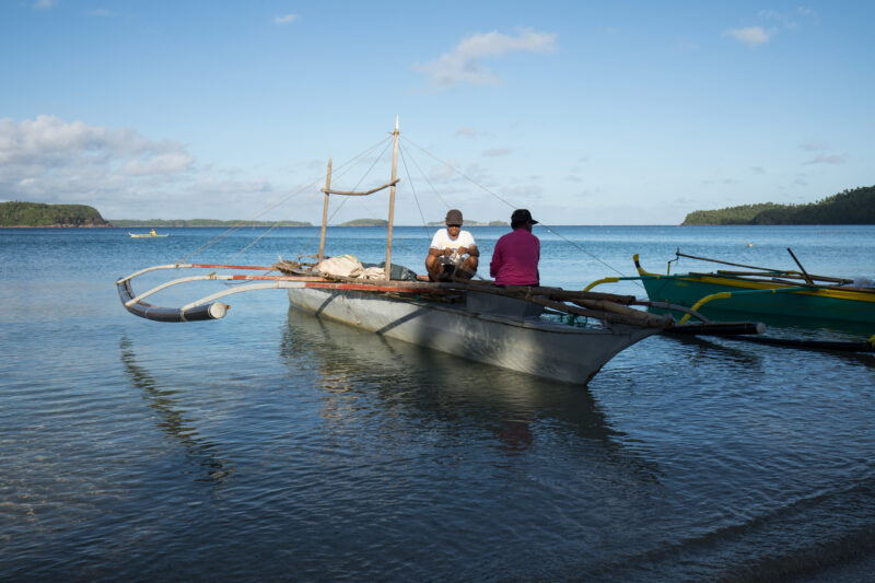 Sorting the Catch — Fishermen remove various fish from their nets in the morning light. — Philippines, Camarines Sur, Luzon, fishing, boat