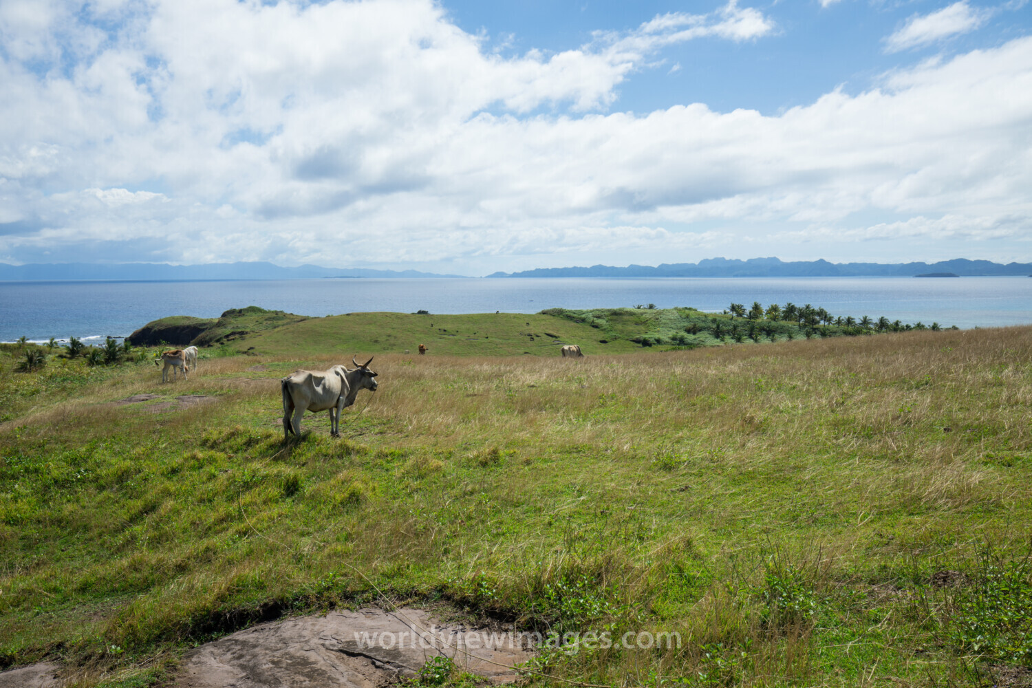 Scenic Costline of the Philippines