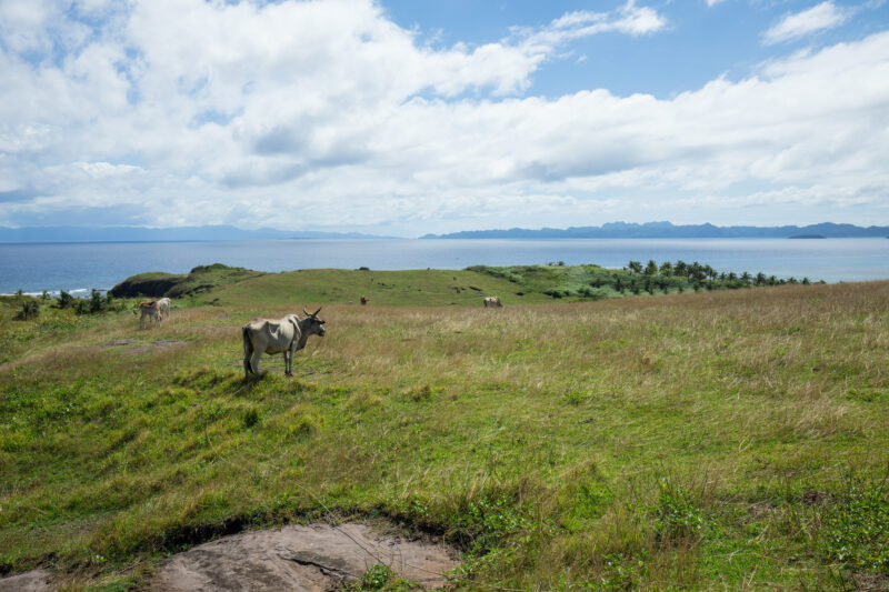 Scenic Costline of the Philippines — Philippines, Camarines Sur, Luzon, scenic, ocean