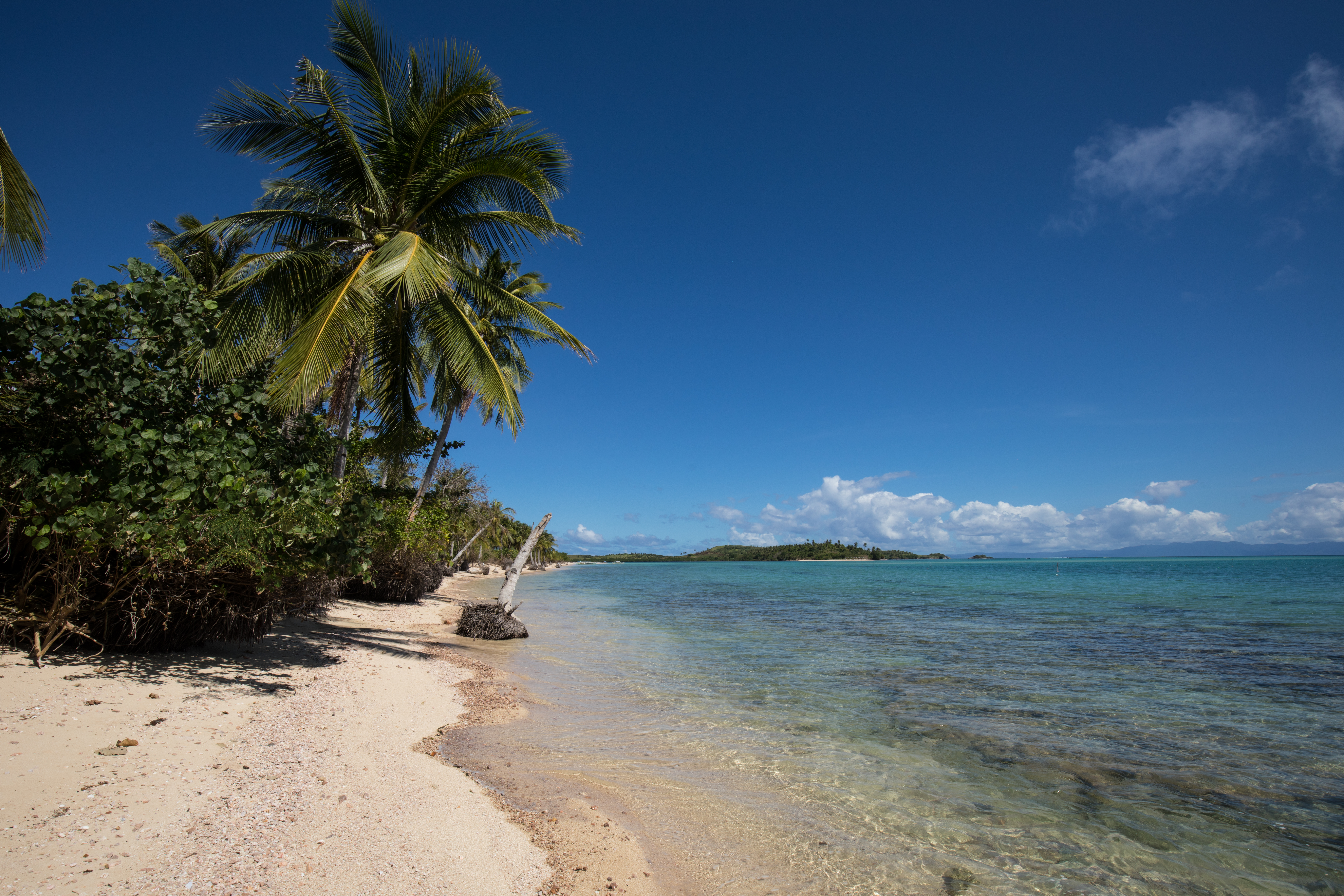 Beach in the Philippines