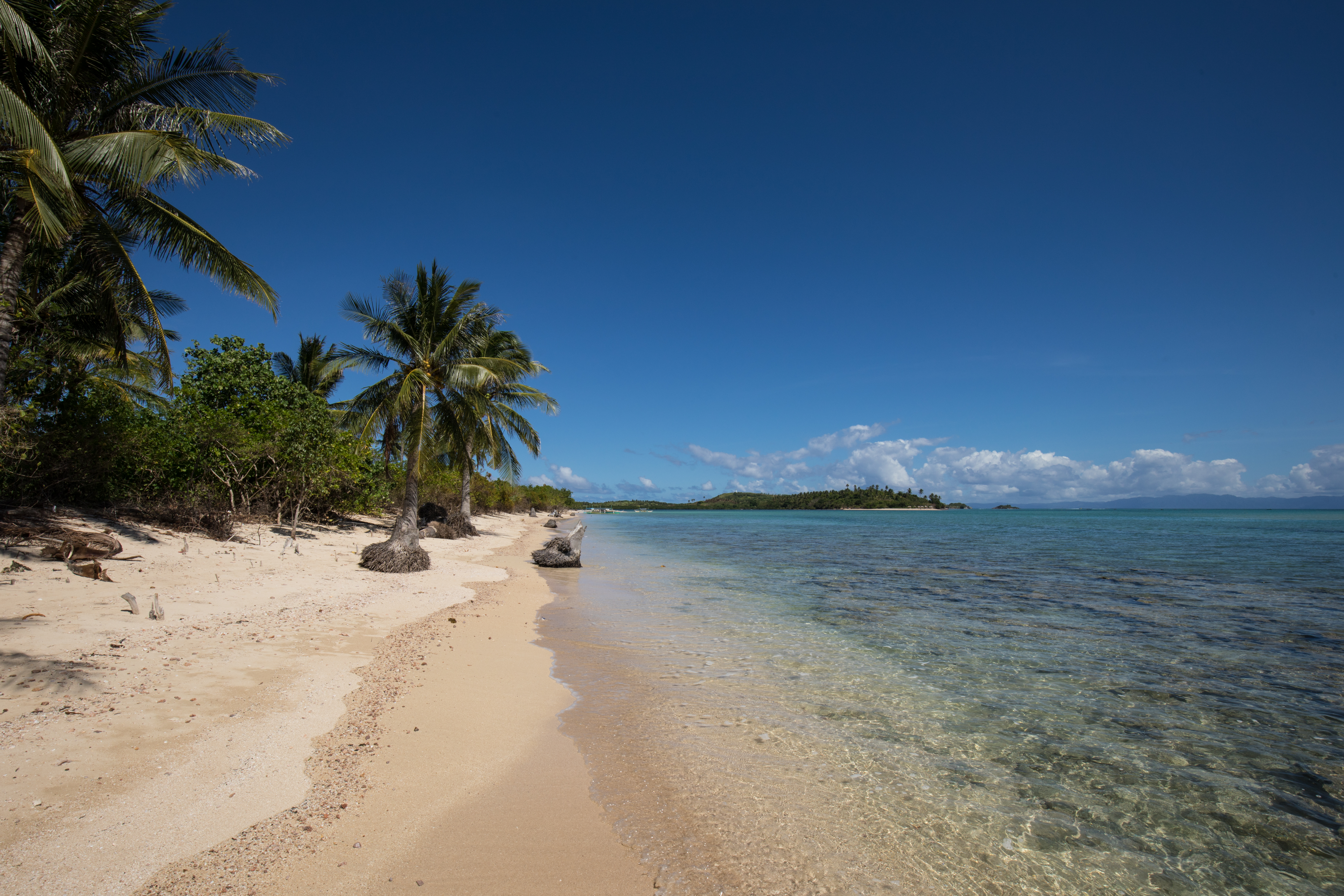 Beach in the Philippines