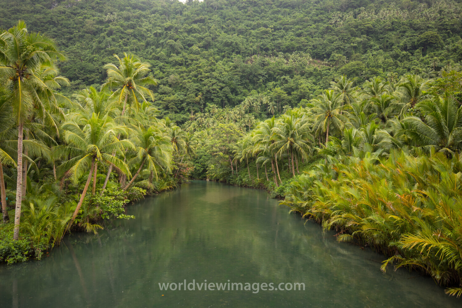 Lagoon in the Philippines