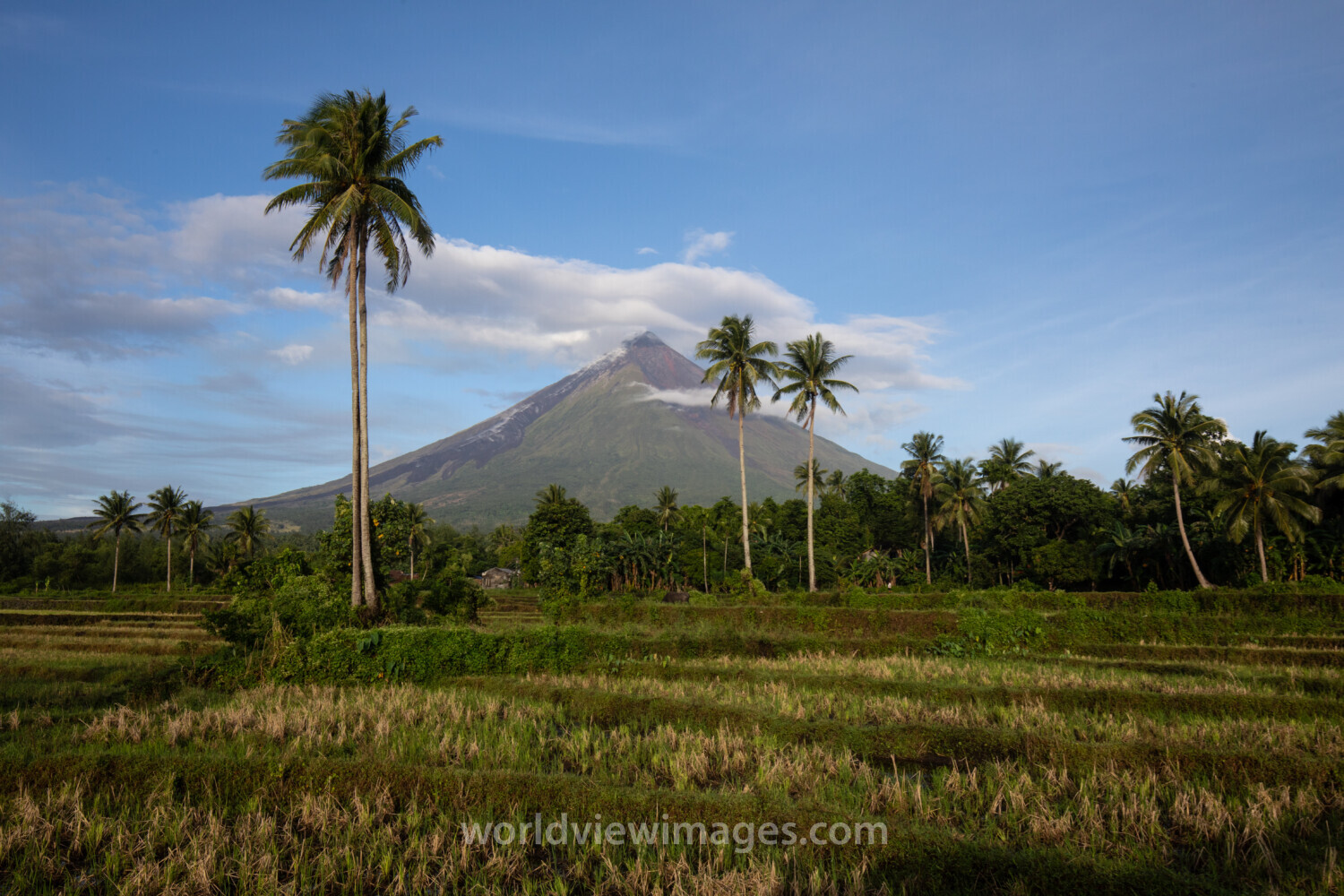 Volcano Mayon in the Philippines