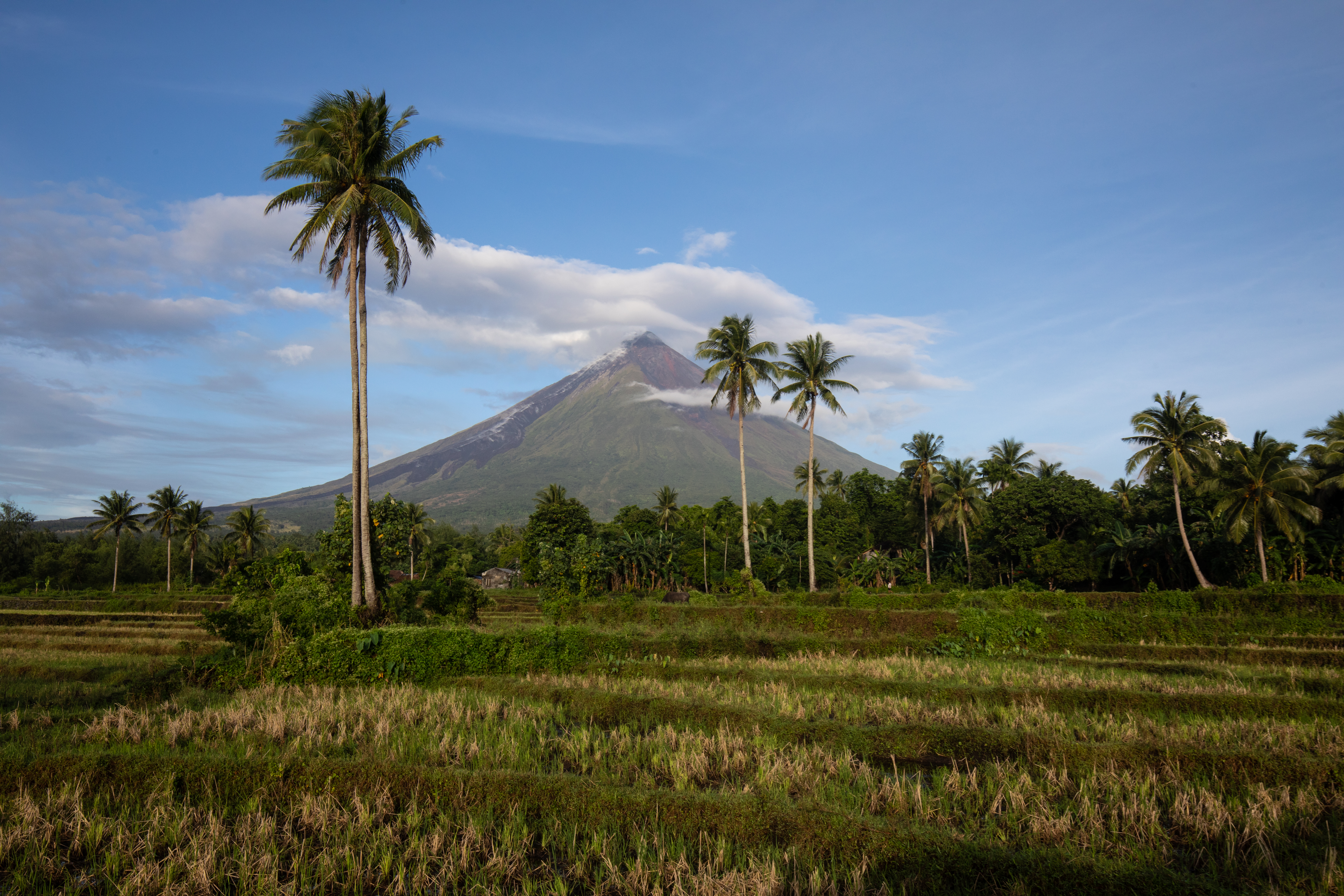 Volcano Mayon in the Philippines