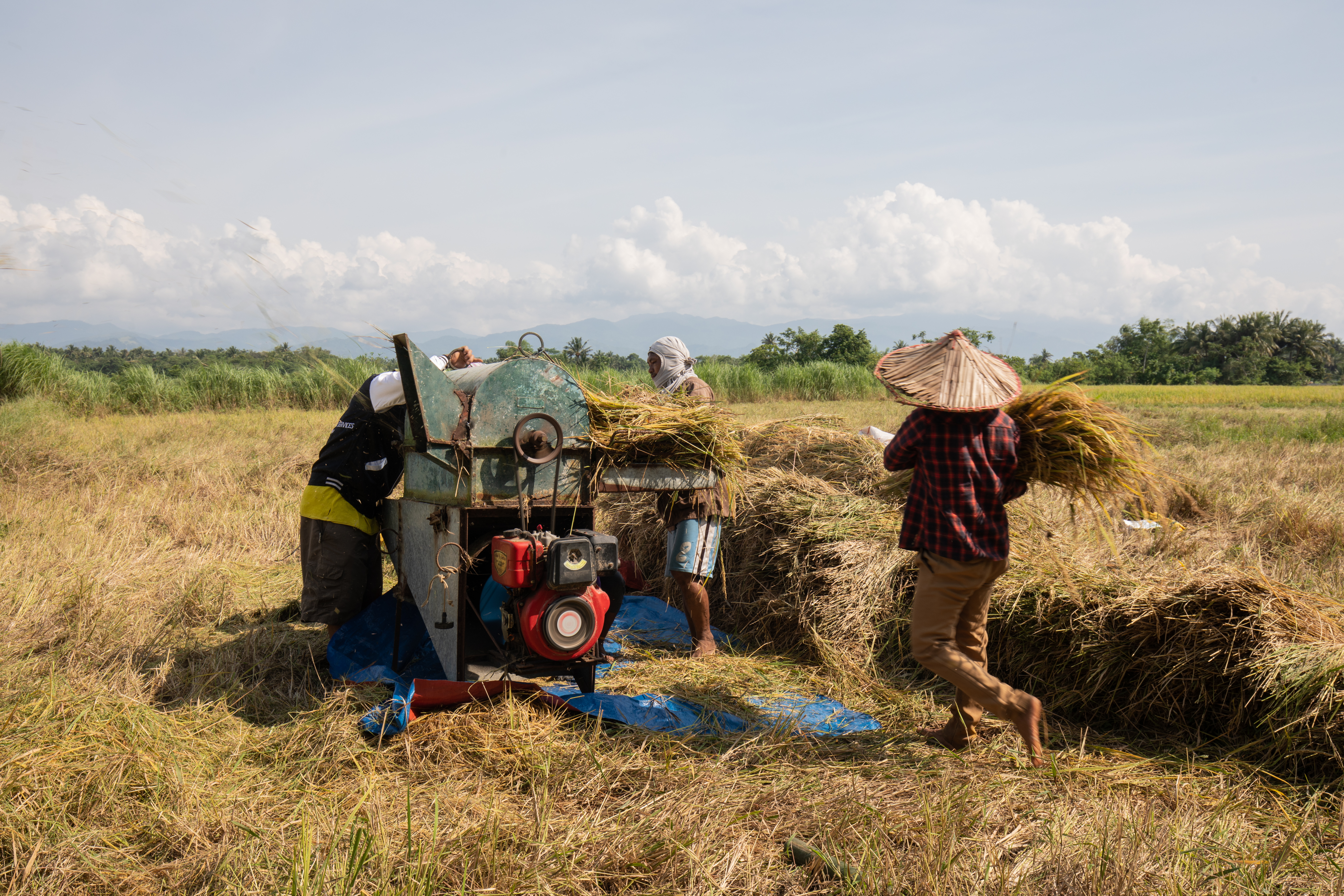 Threshing Machine in the Philippines