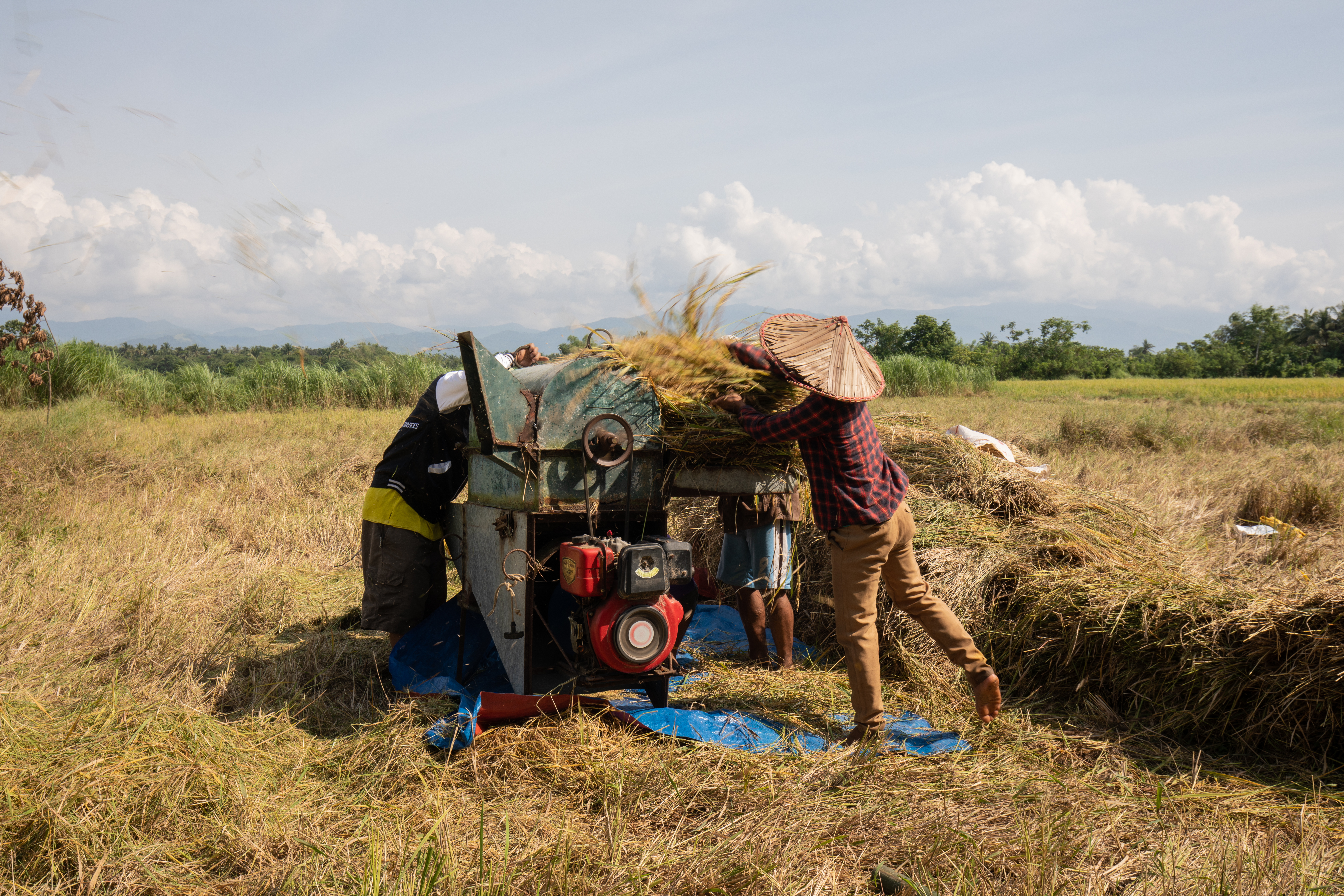 Threshing Machine in the Philippines