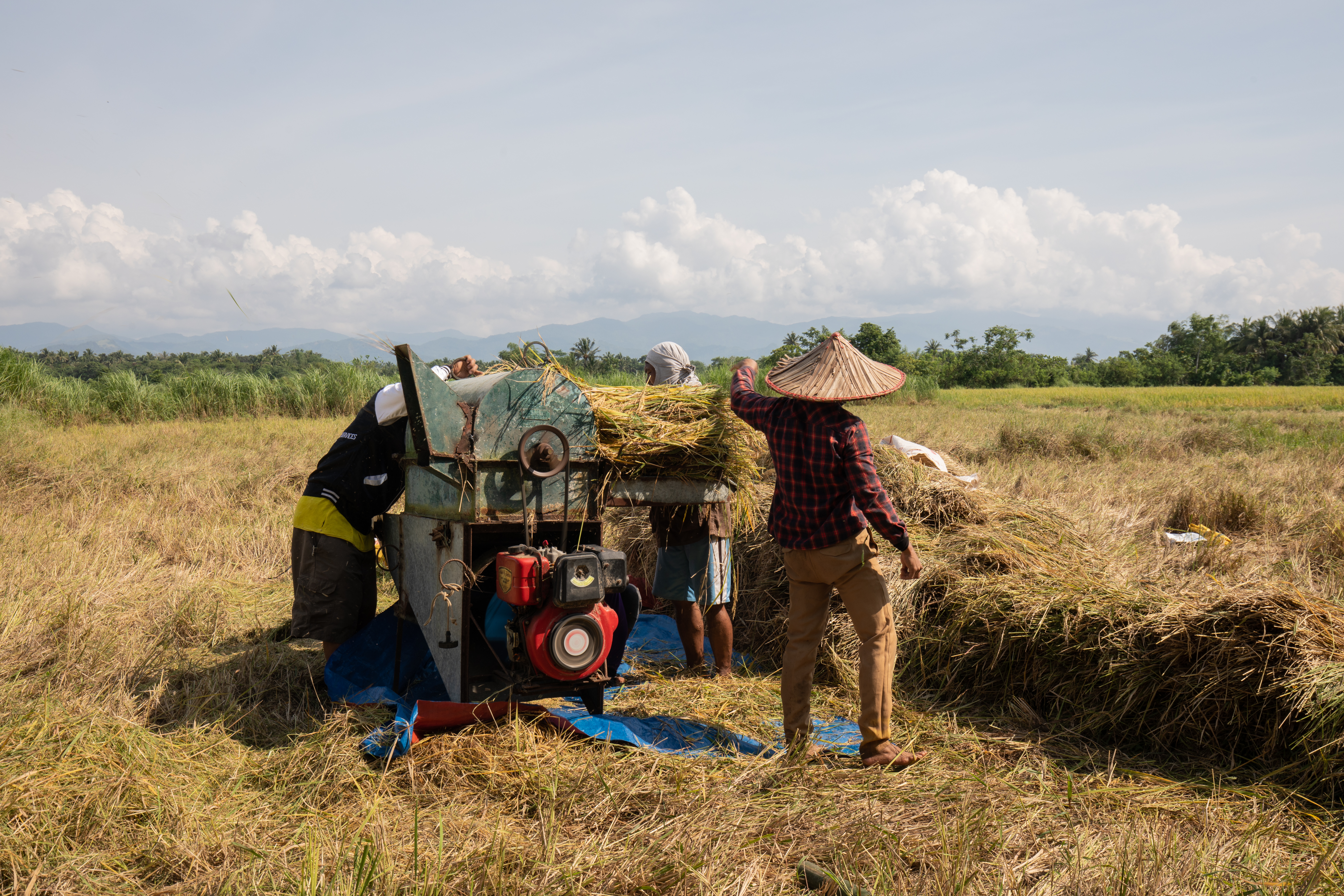 Threshing Machine in the Philippines