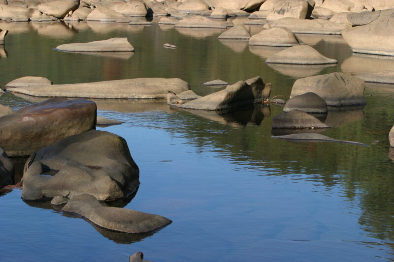 Photo: River Scene — Scenic