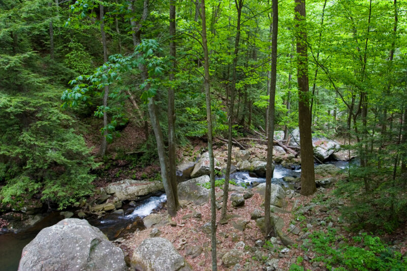 Photo: River Scene — Scenic