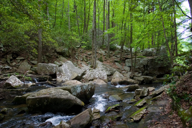 Photo: River Scene — Scenic