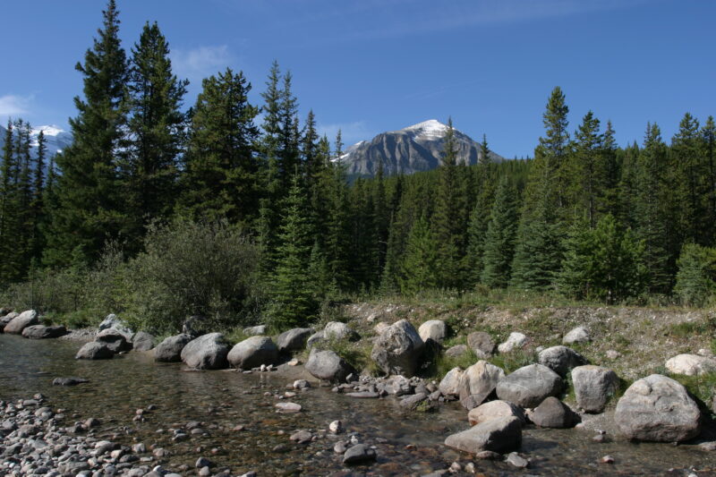 River Scene — Canada, Alberta, Banff National Park, Scenic, Mountians