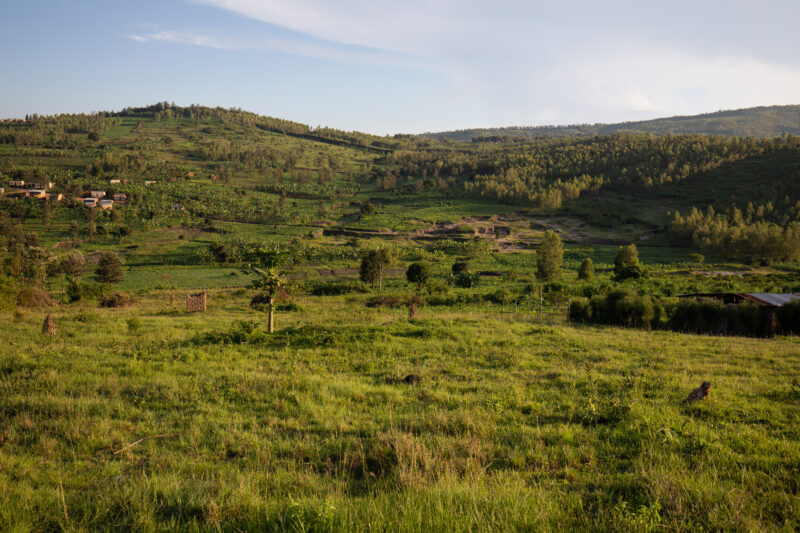 Hillside Village in Rwanda — Rwanda, Africa, hill, hills, village