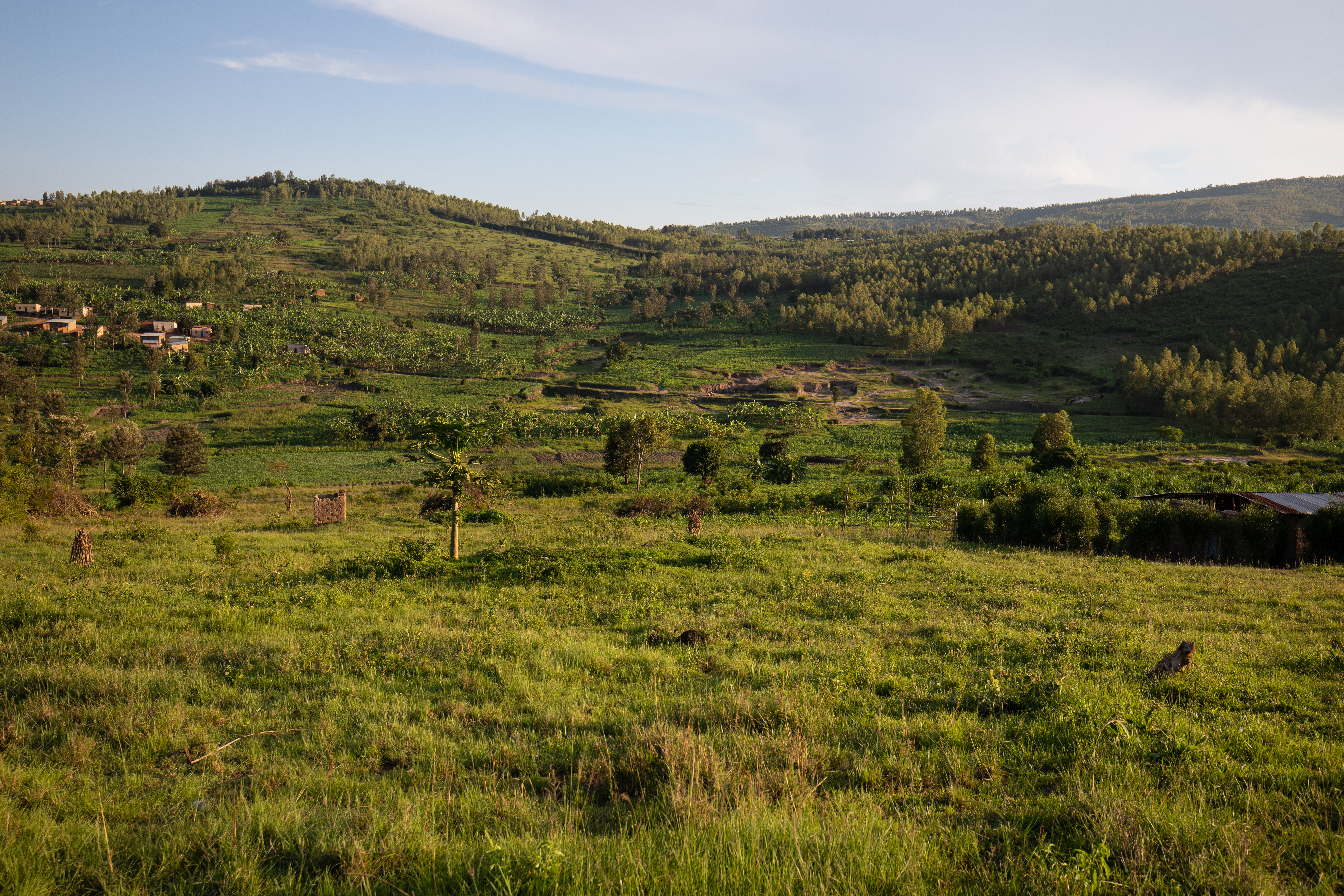 Hillside Village in Rwanda