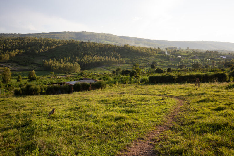 Hillside Village in Rwanda — Rwanda, Africa, hill, hills, village