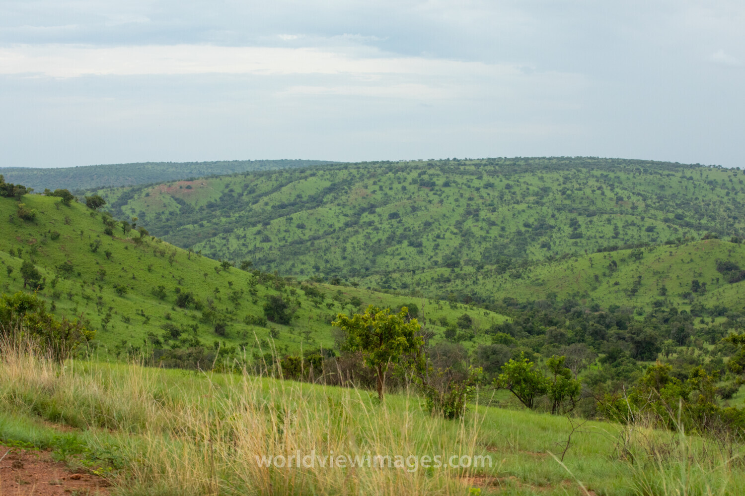 Scenic Kibira Game Park