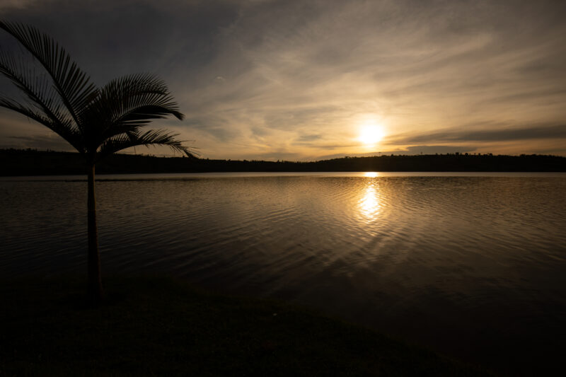 Sunset on a lake in Rwanda — The beautiful Topi in Kibira National Park in Rwanda — Rwanda, Africa, Animals, Topi, Antelope