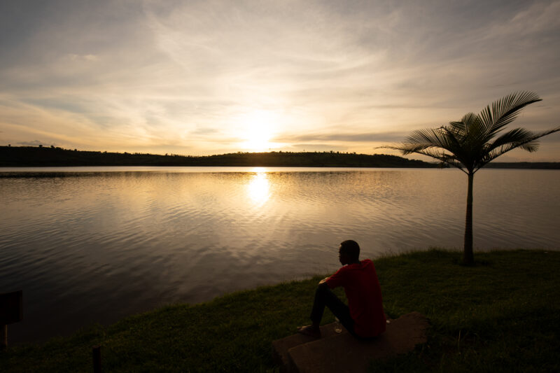 Sunset on a lake in Rwanda — The beautiful Topi in Kibira National Park in Rwanda — Rwanda, Africa, Animals, Topi, Antelope