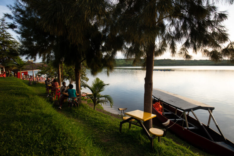 Sunset on a lake in Rwanda — The beautiful Topi in Kibira National Park in Rwanda — Rwanda, Africa, Animals, Topi, Antelope