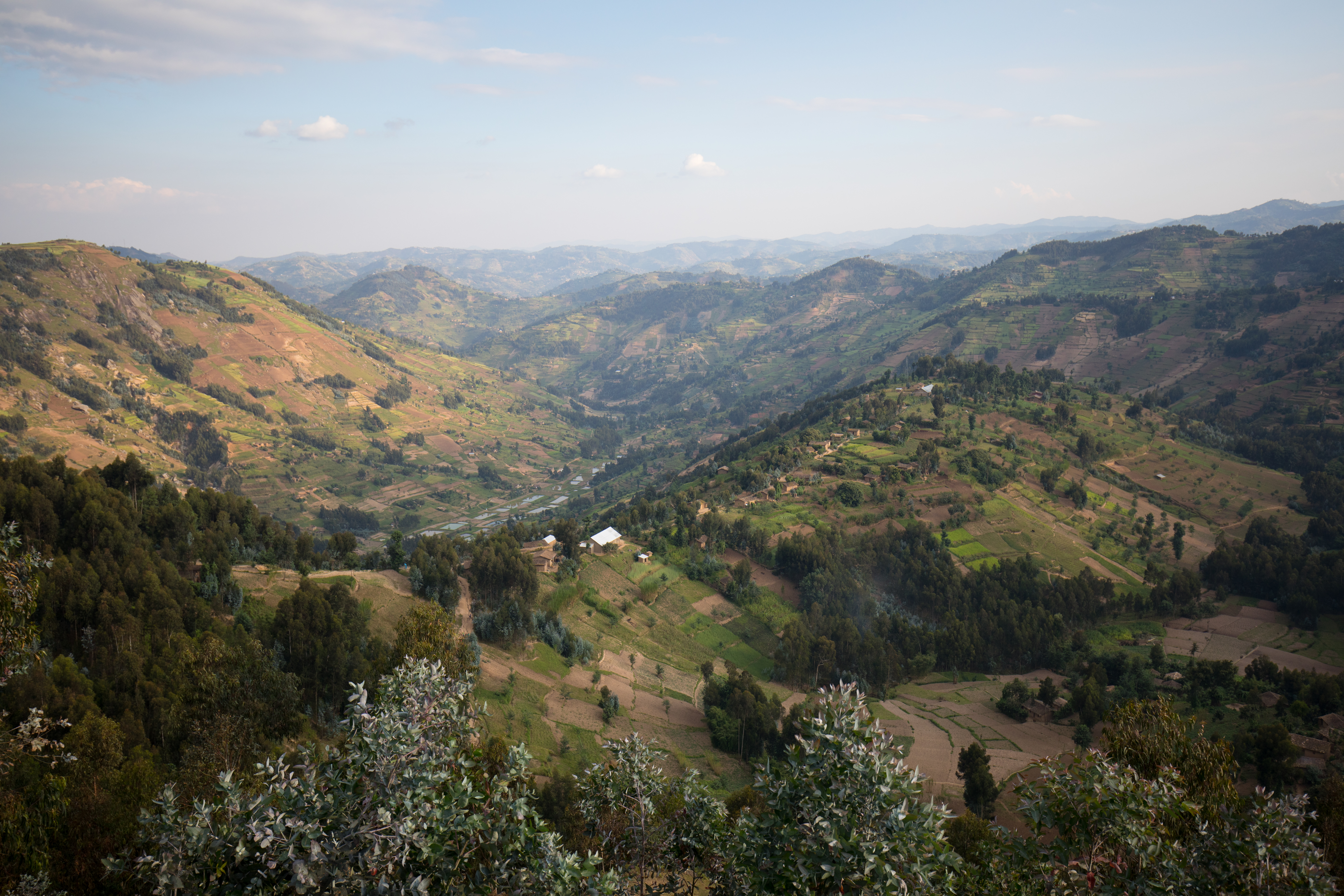 Scenic Hillside in Rwanda