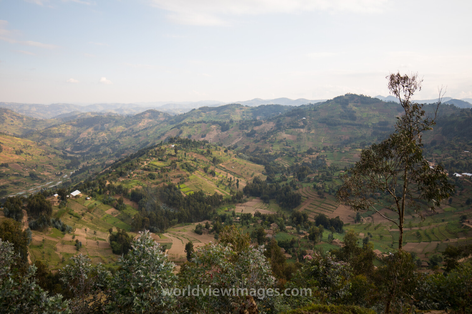 Scenic Hillside in Rwanda