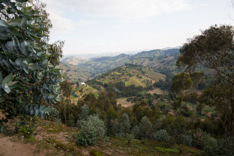 Scenic Hillside in Rwanda — Hillside farms and villages in Northeren Rwanda — Rwanda, Africa, Scenic, hillside, farms