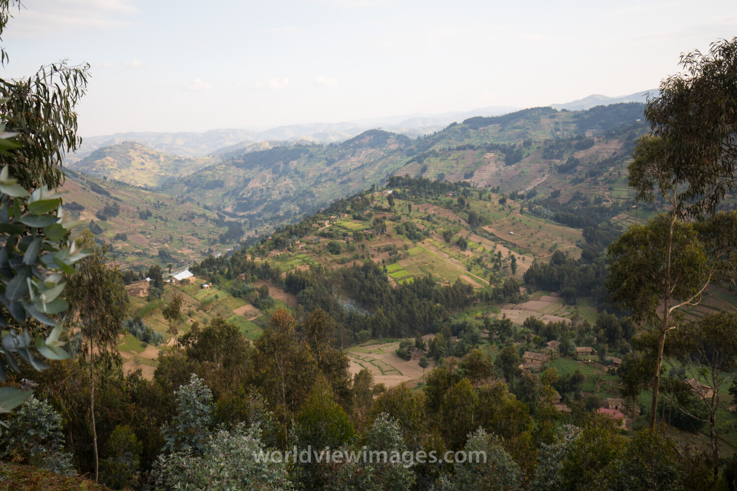 Scenic Hillside in Rwanda