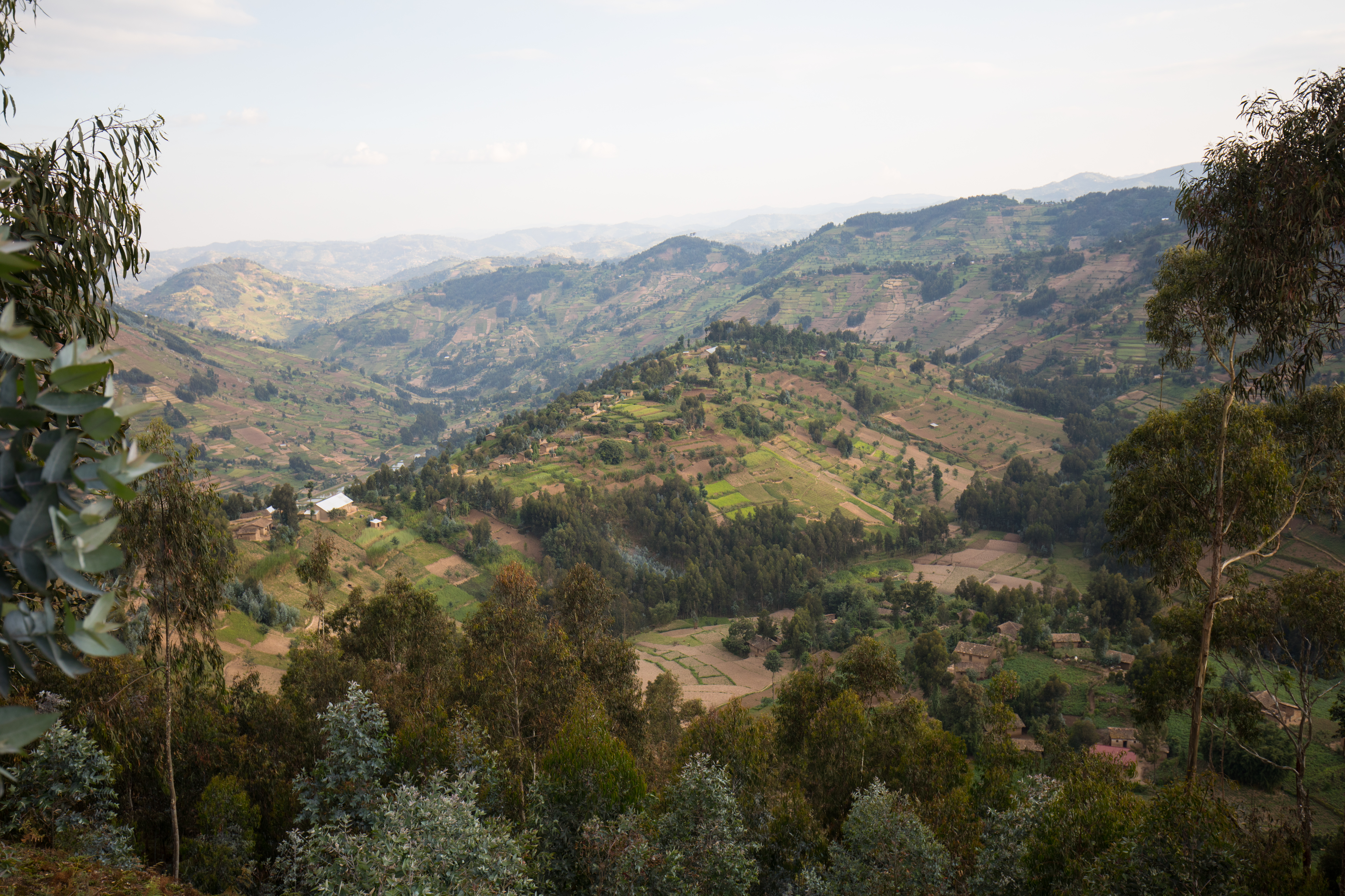 Scenic Hillside in Rwanda