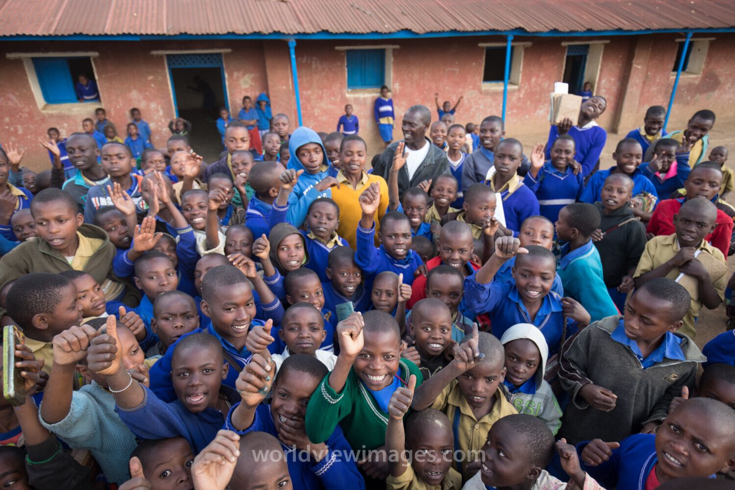 Topi in Rwanda National Park