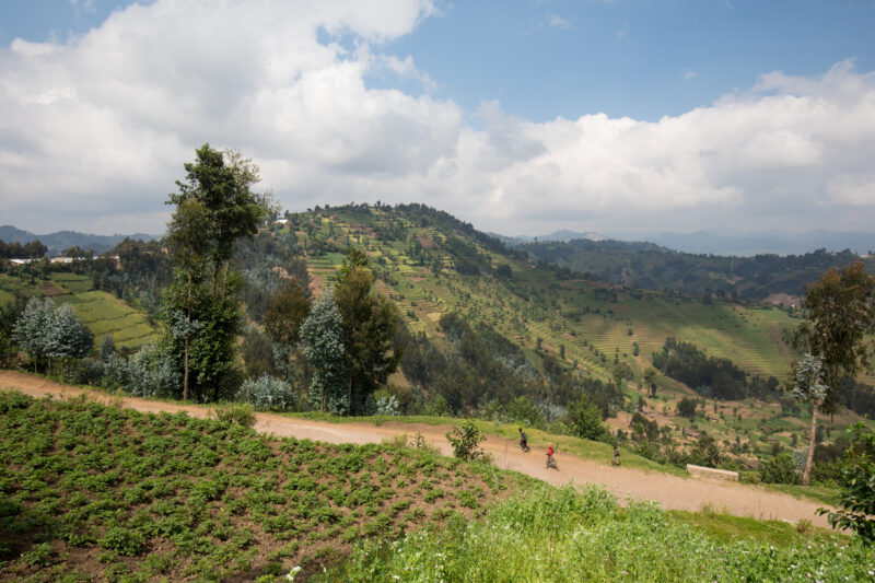 Scenic Farms in Rwanda — Wide shot of hilside farms in Northern Rwanda — Rwanda, Africa, farms, agriculture, hills