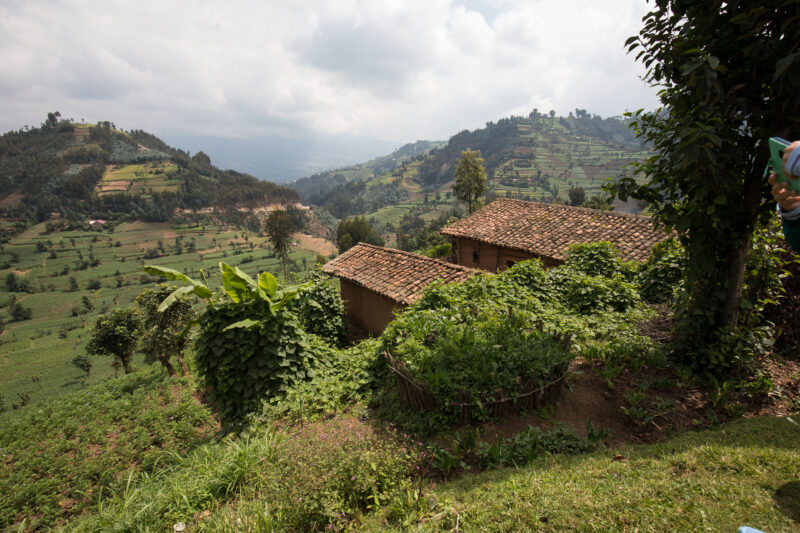 Scenic Farms in Rwanda — Wide shot of hilside farms in Northern Rwanda — Rwanda, Africa, farms, agriculture, hills