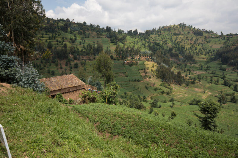 Scenic Farms in Rwanda — Wide shot of hilside farms in Northern Rwanda — Rwanda, Africa, farms, agriculture, hills