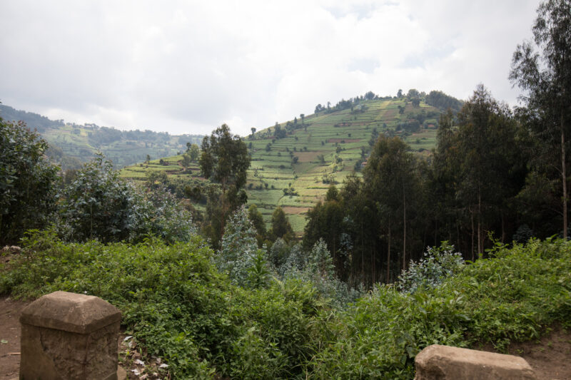 Scenic Farms in Rwanda — Wide shot of hilside farms in Northern Rwanda — Rwanda, Africa, farms, agriculture, hills