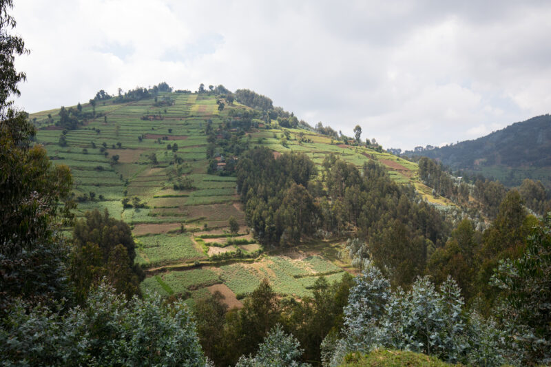 Scenic Farms in Rwanda — Wide shot of hilside farms in Northern Rwanda — Rwanda, Africa, farms, agriculture, hills