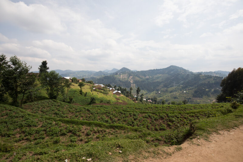 Scenic Farms in Rwanda — Wide shot of hilside farms in Northern Rwanda — Rwanda, Africa, farms, agriculture, hills