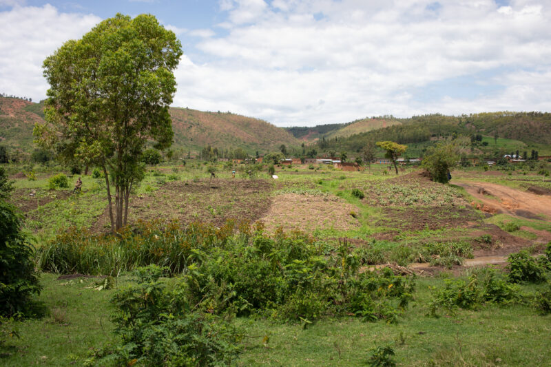 Scenic Farms in Rwanda — Wide shot of hilside farms in Northern Rwanda — Rwanda, Africa, farms, agriculture, hills