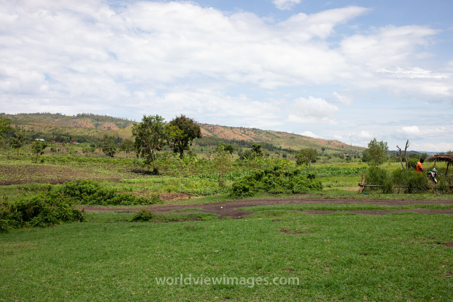 Scenic Farms in Rwanda
