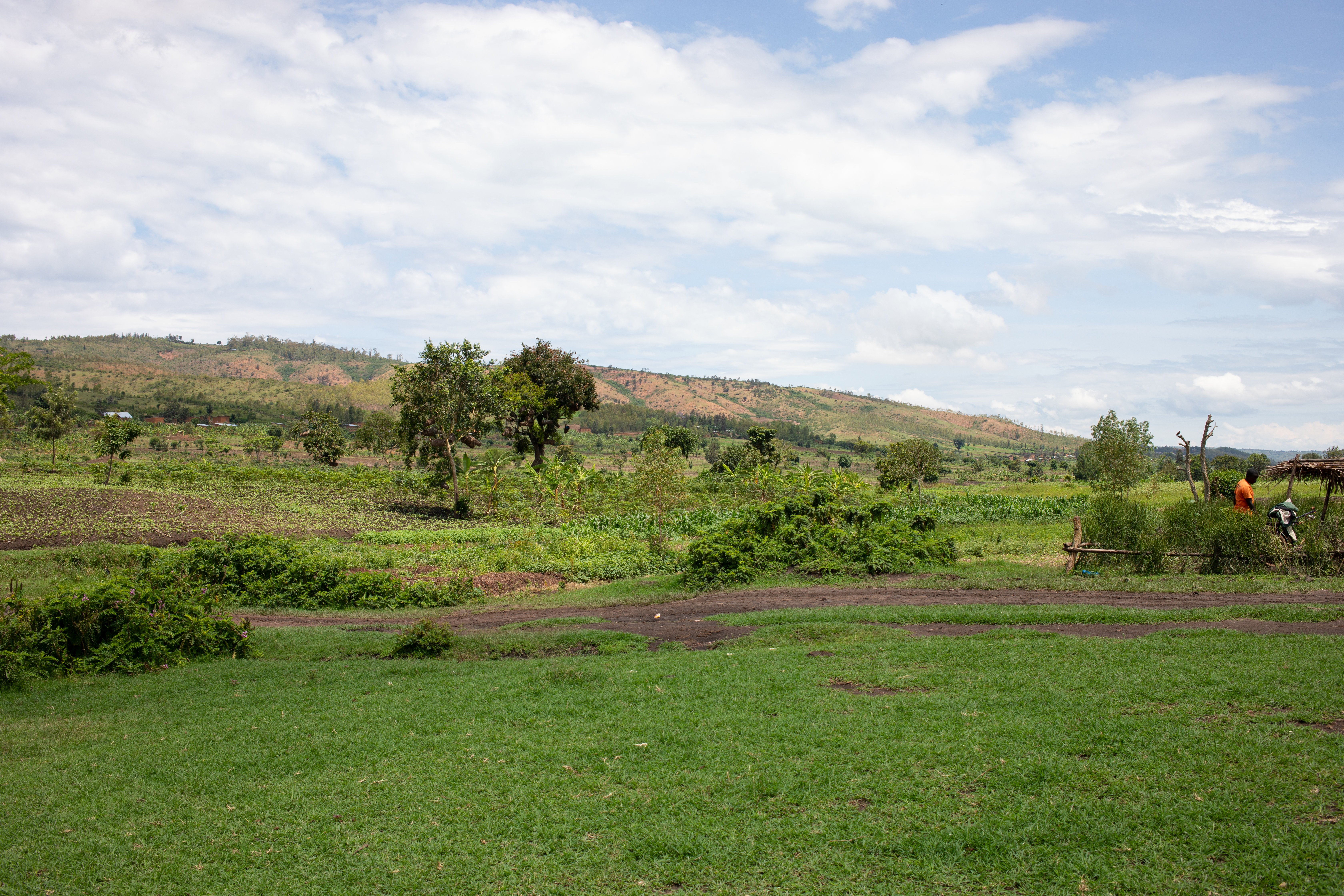 Scenic Farms in Rwanda