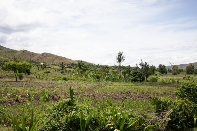 Scenic Farms in Rwanda — Wide shot of hilside farms in Northern Rwanda — Rwanda, Africa, farms, agriculture, hills
