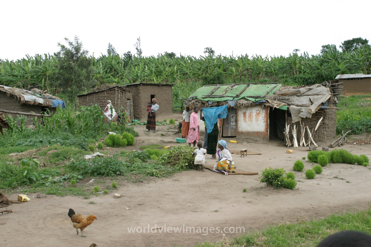Stock Images of Rwanda