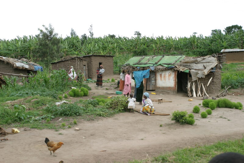 Stock Images of Rwanda — People returning to Rwanda after the genocide was overreclaim land in a unpopulated swampy area, with technology and financial suppo...