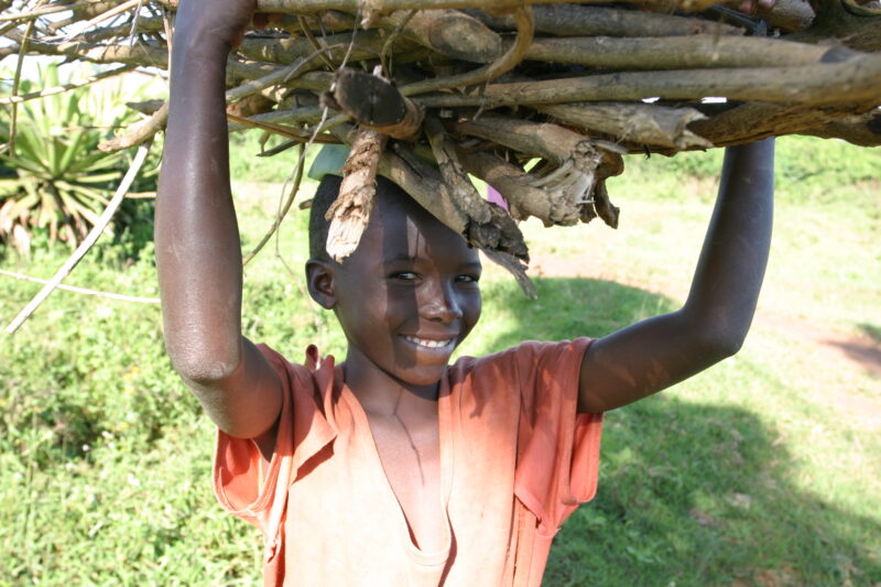 Stock Images of Rwanda — People returning to Rwanda after the genocide was overreclaim land in a unpopulated swampy area, with technology and financial suppo...