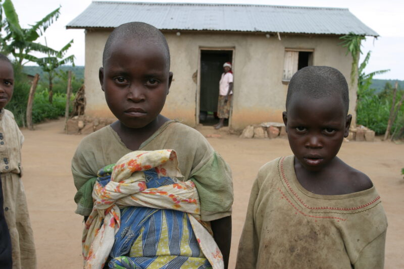 Stock Images of Rwanda — People returning to Rwanda after the genocide was overreclaim land in a unpopulated swampy area, with technology and financial suppo...
