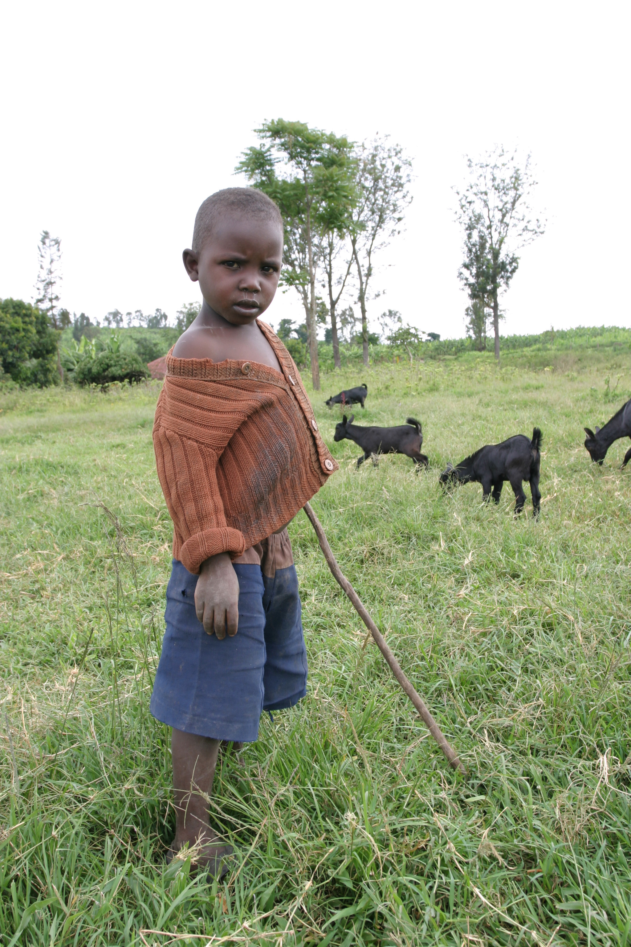 Stock Images of Rwanda